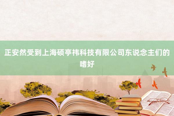 正安然受到上海硕亭祎科技有限公司东说念主们的嗜好