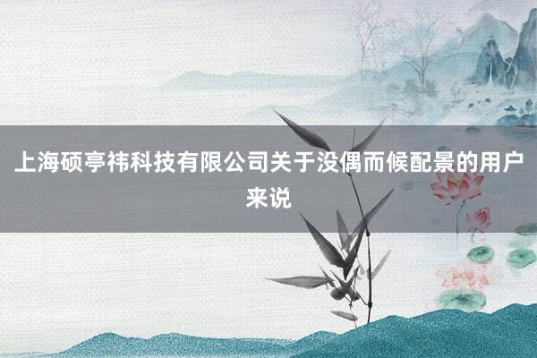 上海硕亭祎科技有限公司关于没偶而候配景的用户来说